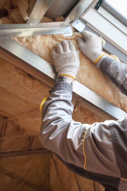 Best Eco-Friendly Insulation in Prattville, AL